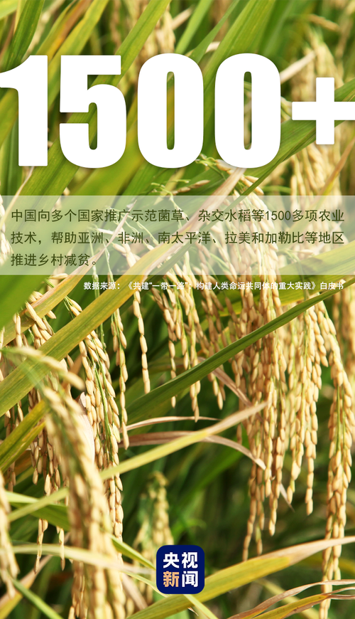 数字、绿色创新合作加强!我国与共建“一带一路”国家间专利活动日趋活跃