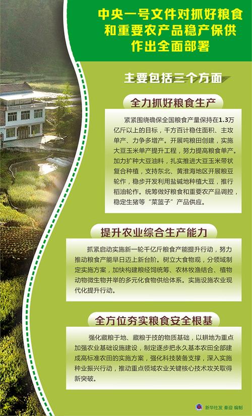 中央一号文件丨我国强化“菜篮子”产品稳产保供