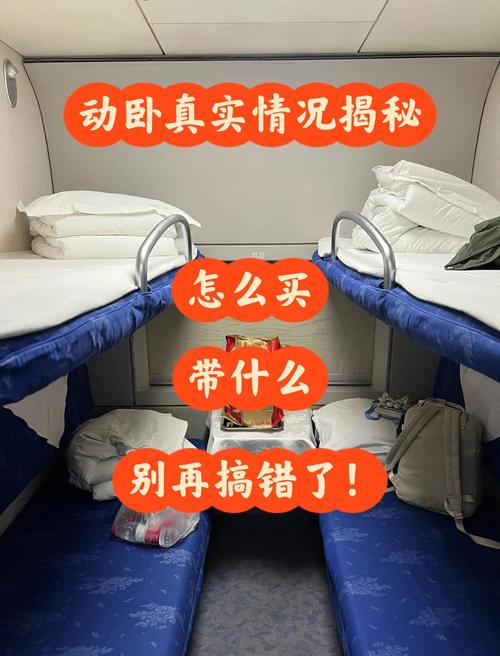 睡一觉就到旅游目的地 暑期多地开行“夜间”动卧列车