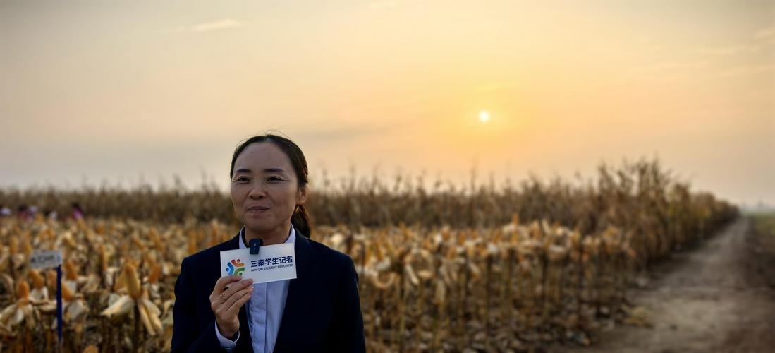 上了央视《焦点访谈》!河北“农业职业经理人”成为农民好帮手