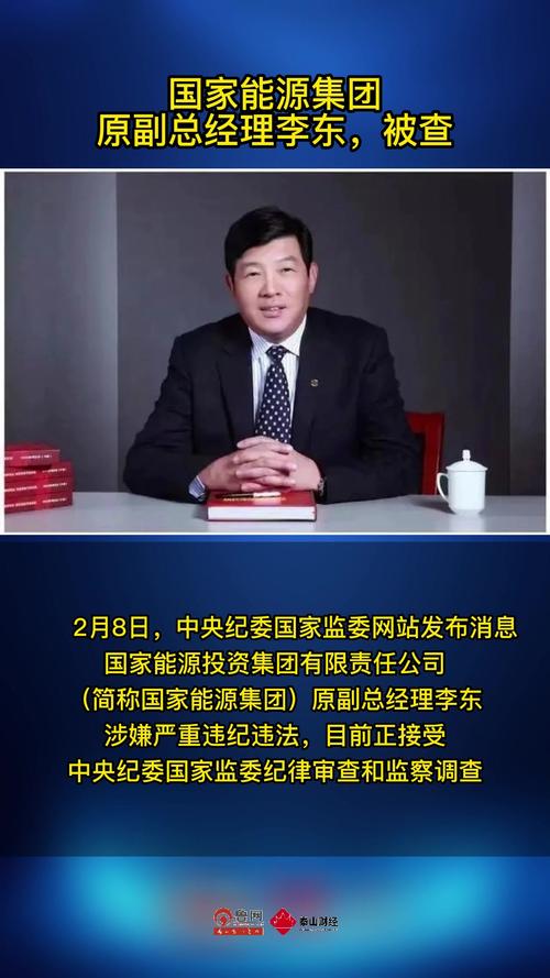 国家能源投资集团有限责任公司原副总经理李东受贿案一审开庭