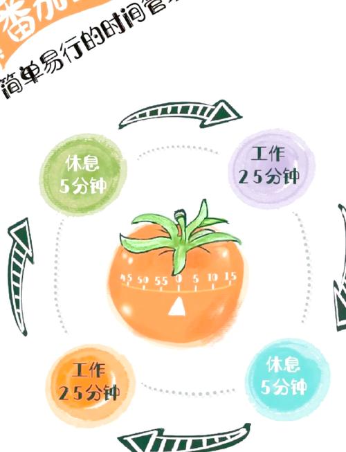 一个番茄的产业化之路(经济聚焦)