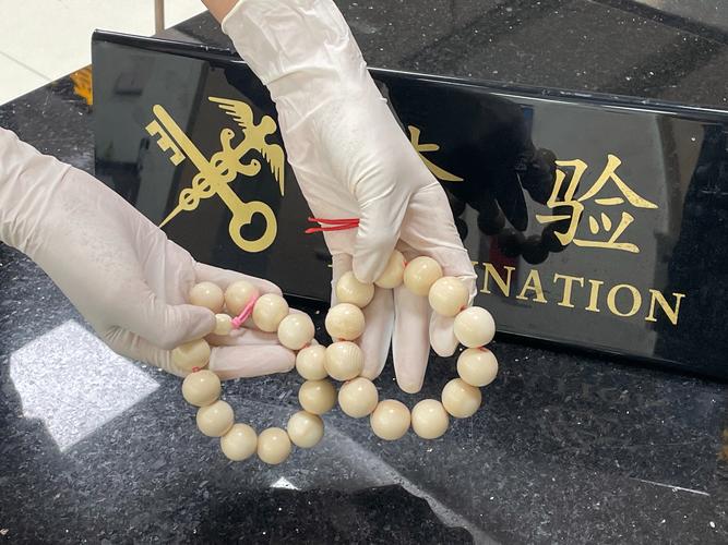 苏州海关在进境邮件中查获象牙制品2件