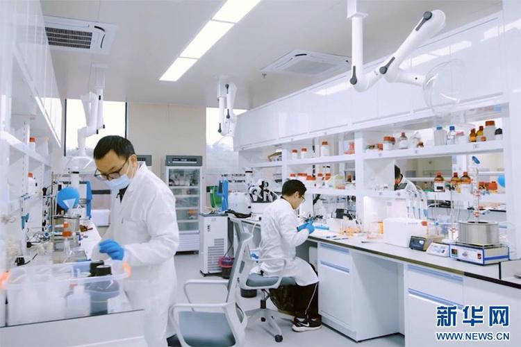金凤实验室脑疾病发育起源研究团队:探寻疾病源头 守护群众健康