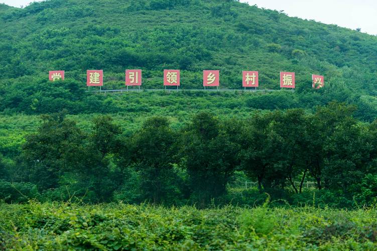 (乡村行·看振兴)湖北点军:“柚”见乡村好“丰”景