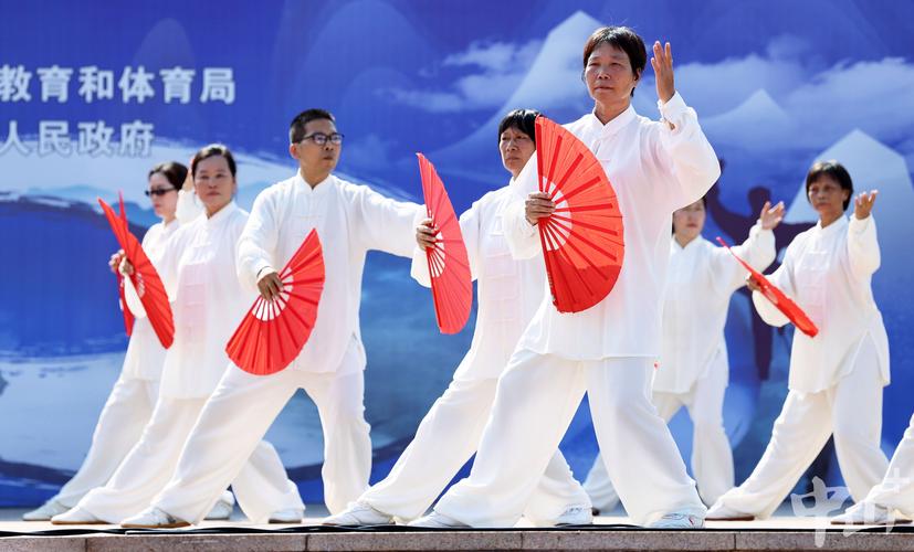 青年太极传人探索武术推广新方式