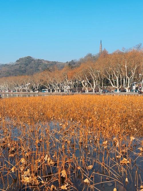 大年初一北京天空云量增多 气温低迷最高气温仅1℃