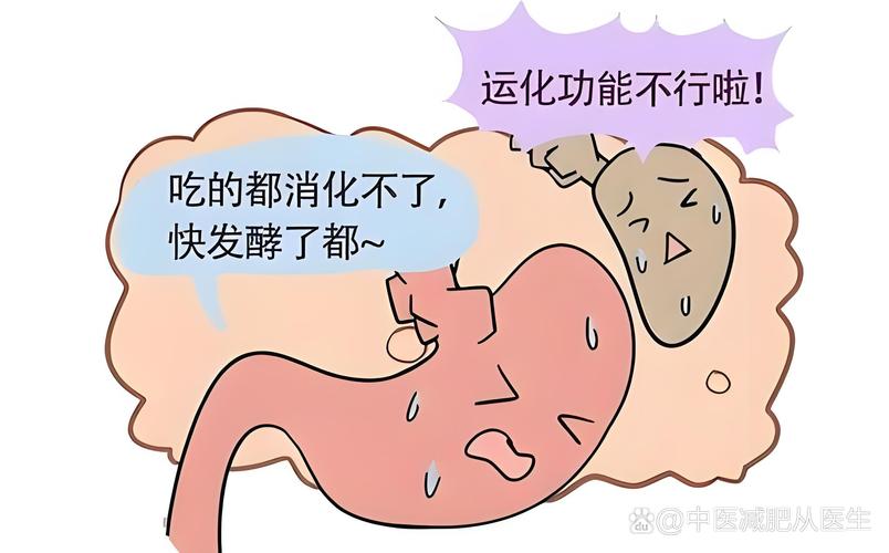 肥胖“记忆”保留在细胞中