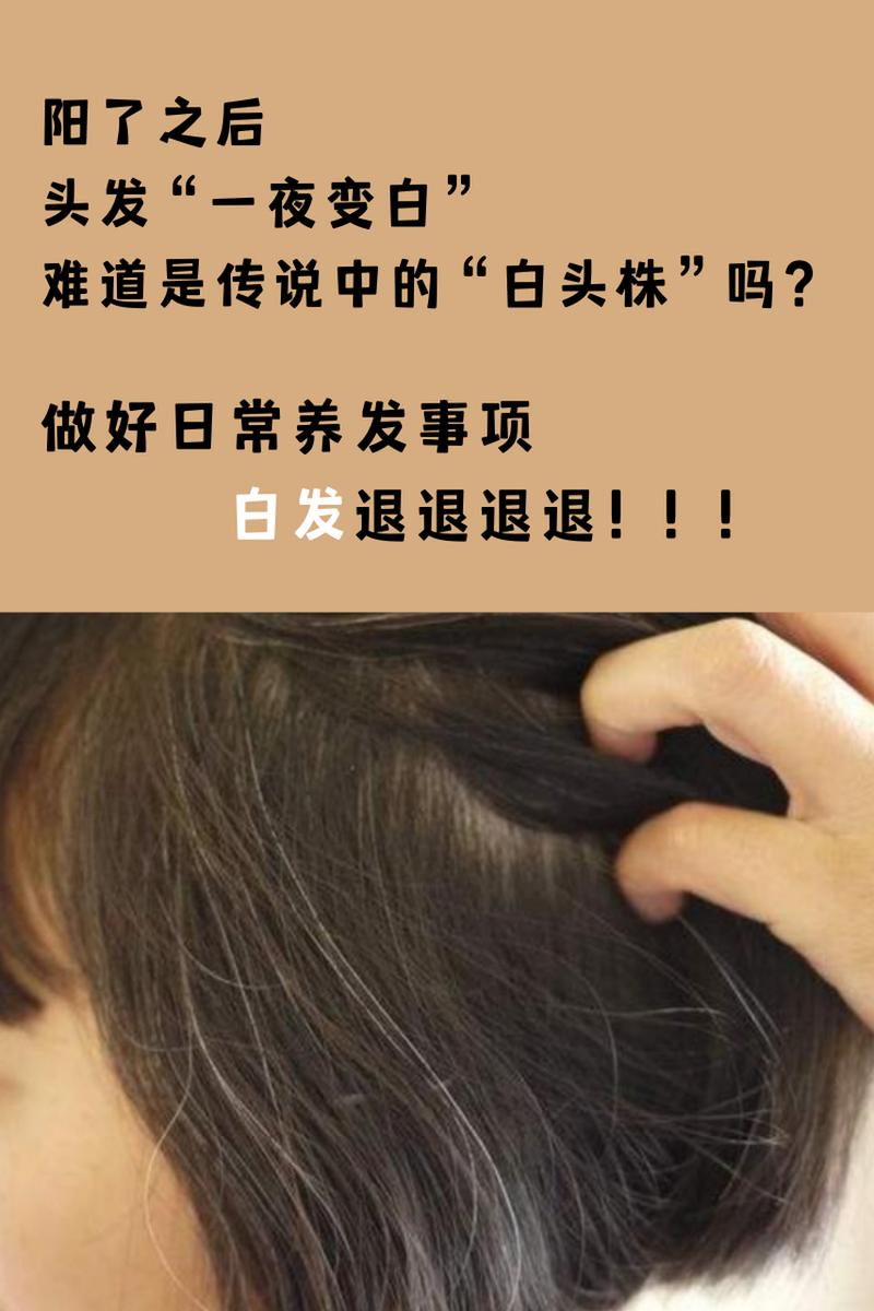脱发、白发突然增多是你老了吗?可能是缺乏这4种营养了