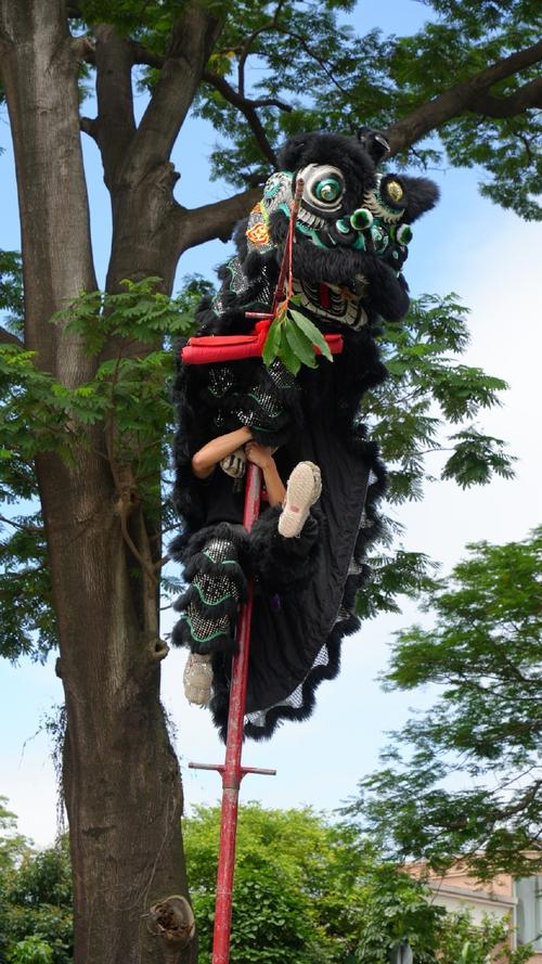 南狮舞上甲板