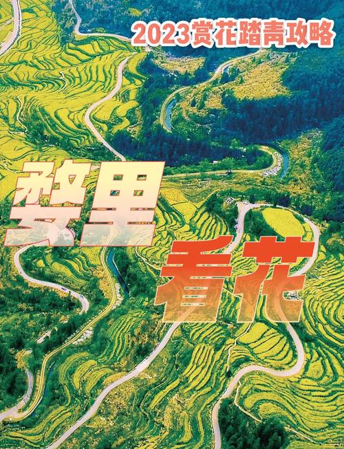 踏青迎春 江西南昌以花为媒带热乡村游