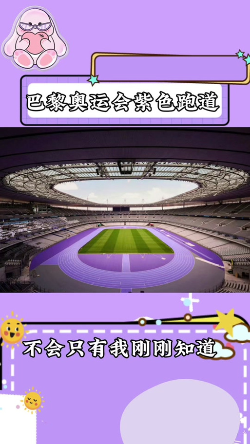 (巴黎奥运)走进法兰西体育场紫色跑道,千分秒之差何以呈现?