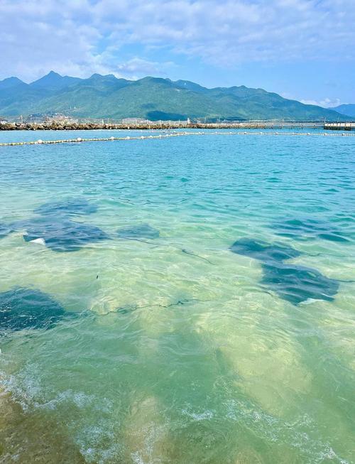 陵水:水资源从“闲置”流向“增值”