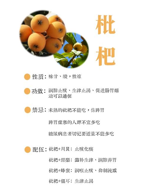 (乡村行·看振兴)“一颗枇杷”何以强村富民?