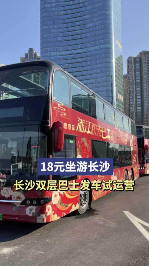 长沙观光巴士首开“移动摄影课” 手机记录魅色星城