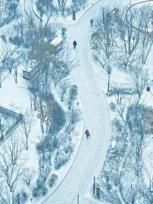 黑龙江省铁力市发布道路冰雪黄色预警_1