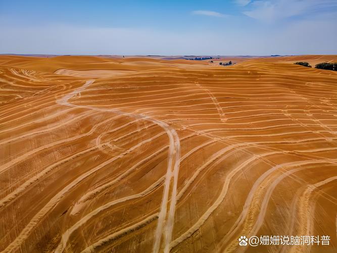 “中国魔方”有何魔力?内蒙古沙地变“疏林草原”