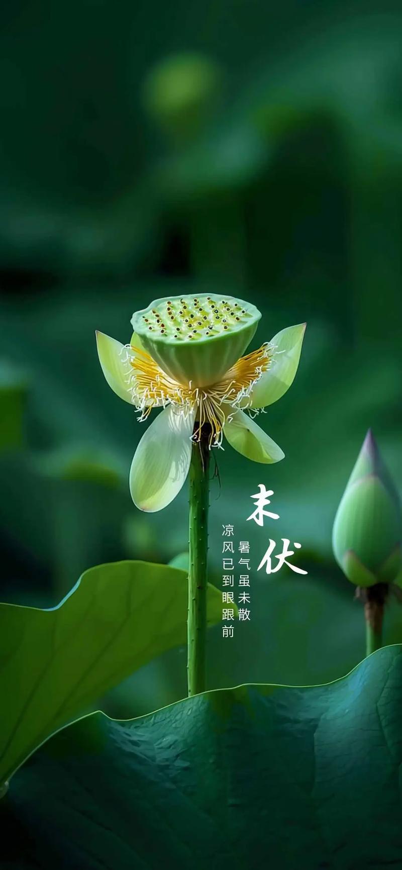 陕西省发布高温黄色预警_1