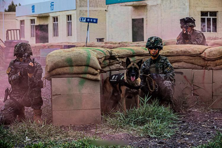 防空利剑扬威大漠戈壁!直击练兵备战现场