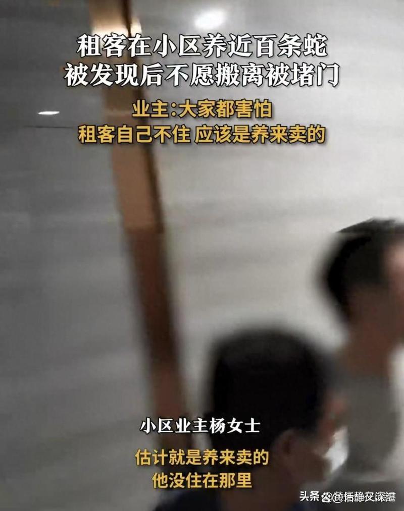 吓人!租户在房间内养近百条……还威胁业主:谁敢碰就让他赔!