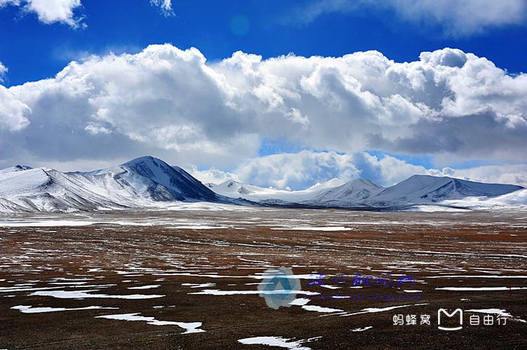 风雪唐古拉的长情相伴