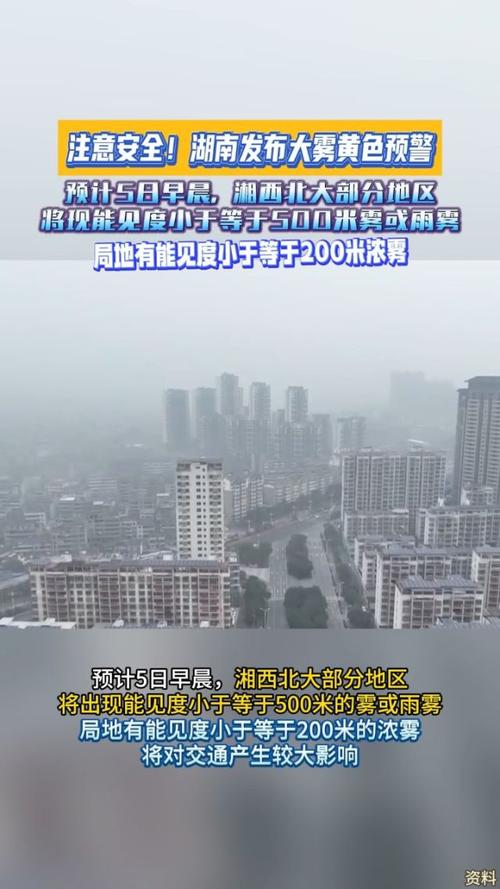 湖南省气象台发布大雾黄色预警,交警提醒明晨谨慎驾驶