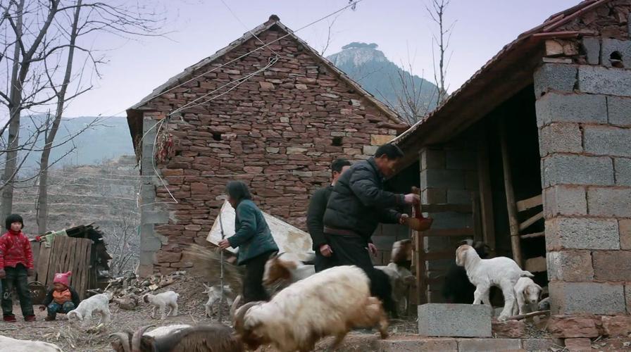 美国姑娘在中国乡村:这是我梦想中的家