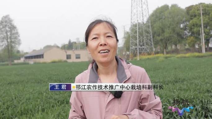 (身边的变化)躬身农田30年 内蒙古“农技人”田间问诊开“良方”