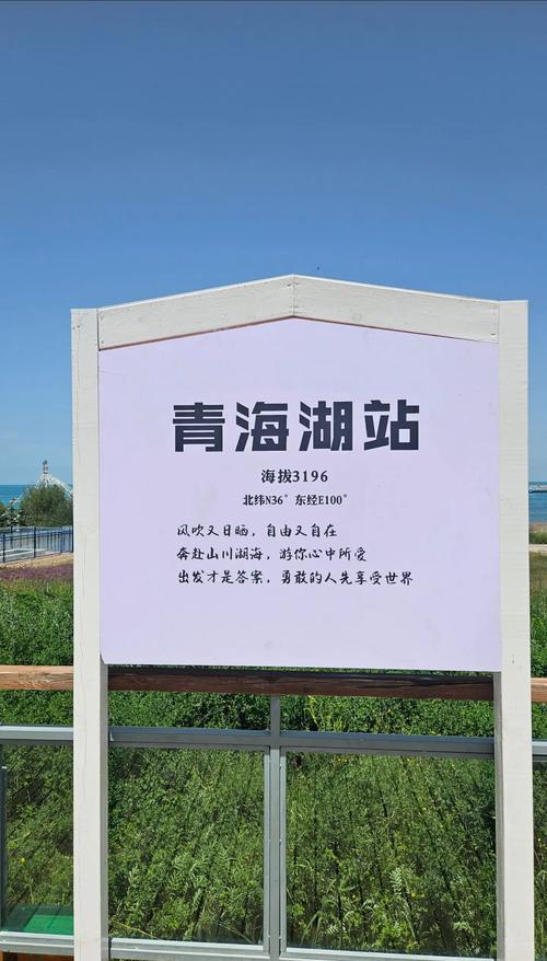 青海:将不断探索科技创新在野生动植物保护中的重要作用