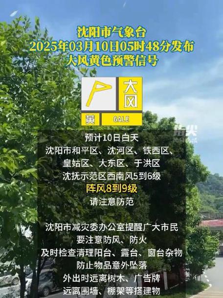 辽宁省宽甸满族自治县发布大风黄色预警