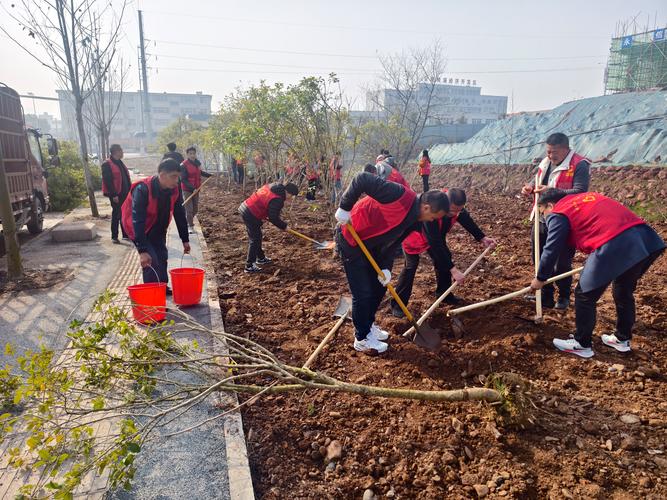 青海推动全民义务植树线上线下深度融合