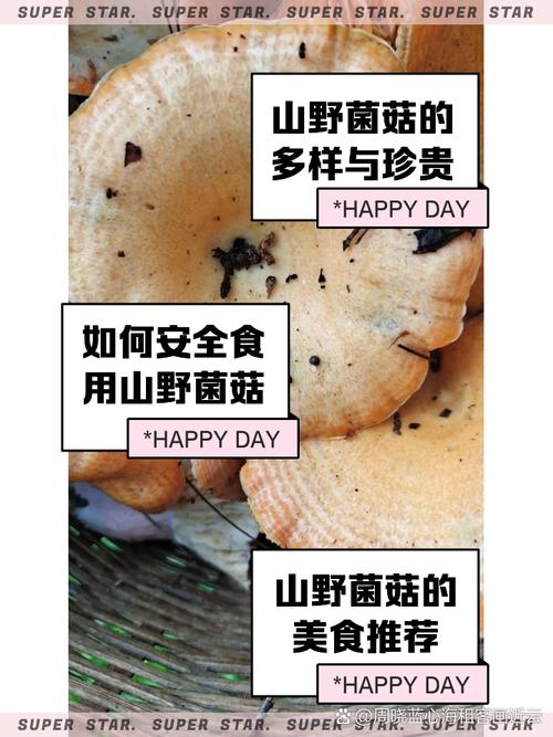 山西大宁义亭河畔“菇”气飘溢 助力小山村“出圈”