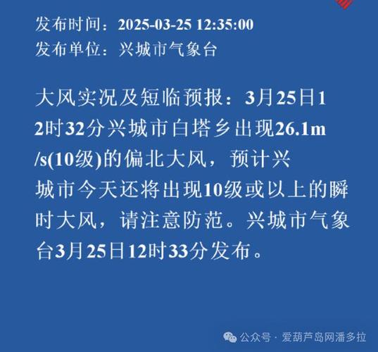 辽宁省兴城市发布大风黄色预警_1