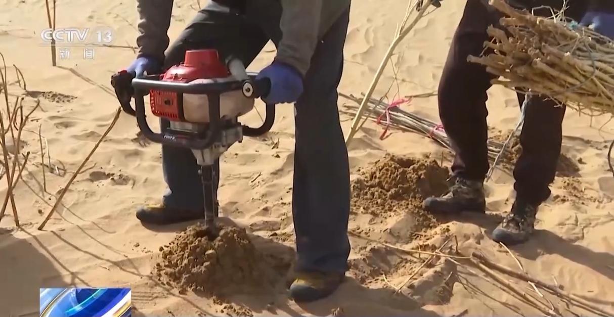风沙肆虐难钻孔 他们在沙漠植树治沙靠啥“黑科技”?