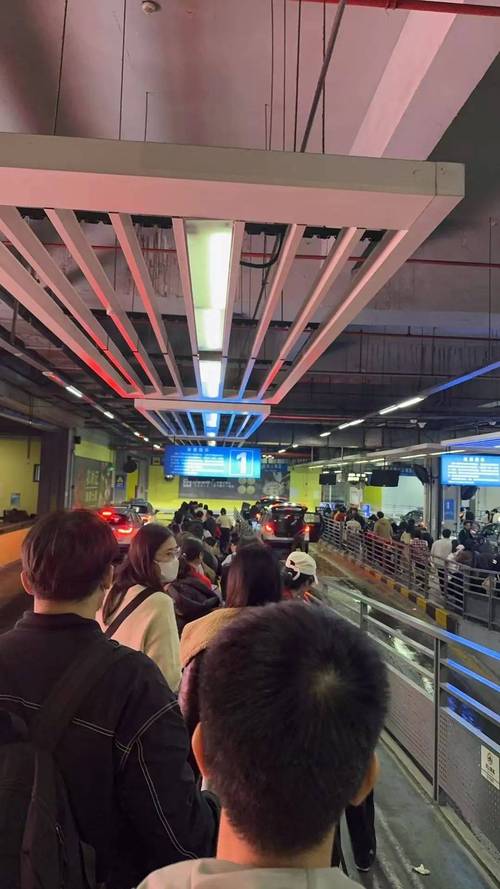 深圳迎来返程客流高峰,交通部门全力保障旅客安全高效抵达 增调3500台出租车疏导北站凌晨抵深旅客