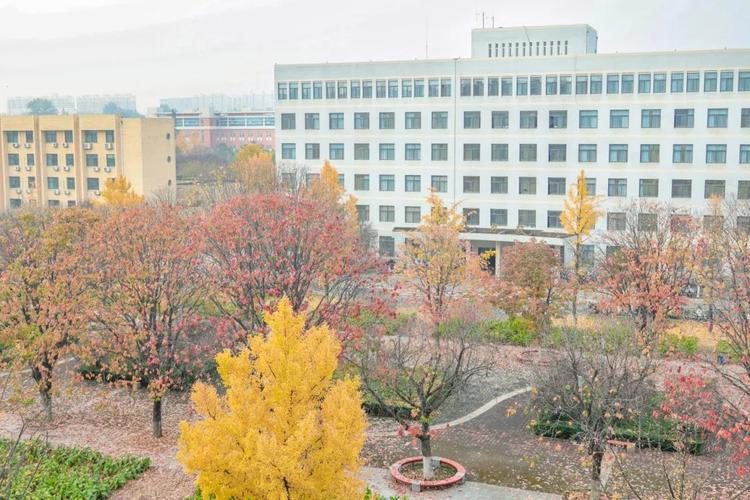西北农林科技大学植物免疫研究团队:裤脚但沾泥土,指尖便长留麦香