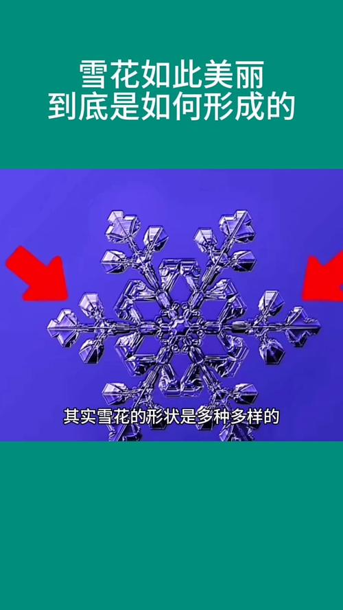 雪与雪崩间有何秘密?来这个冰雪运动强国一探究竟❄️→