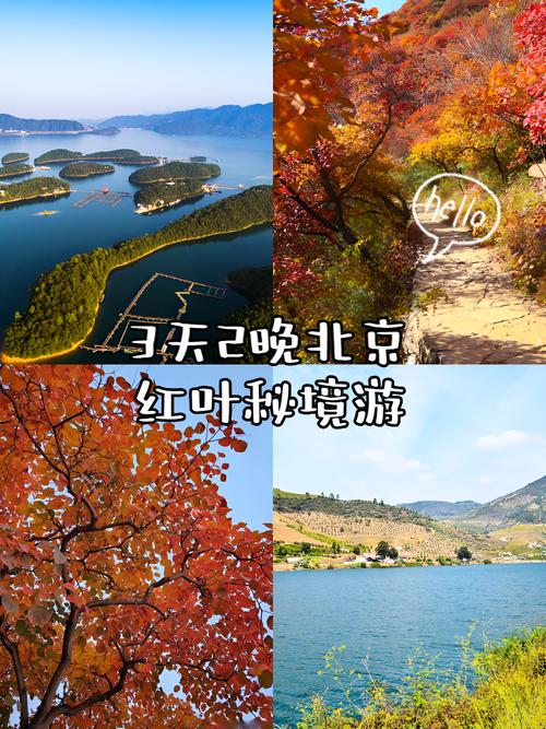 赏红叶、看冬景、打卡“天空之镜” 解锁大美中国的N种“沉浸式”玩法
