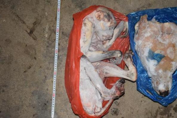 非法收购、出售国家保护野生动物湖南一被告人破坏环境资源获刑并承担赔偿