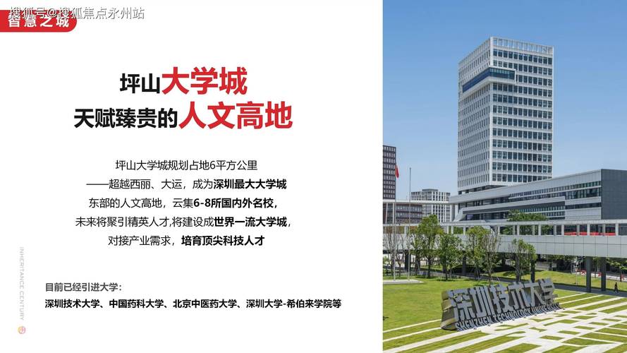 引领老年人终身学习 深圳建成745所老龄大学