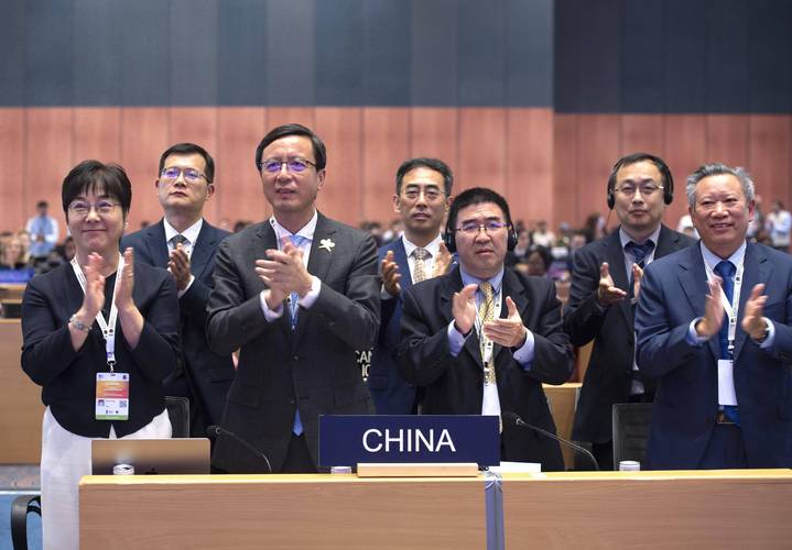 联合国大会通过“体育作为可持续发展的推动力量”决议