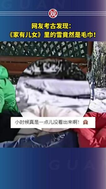 网友考古发现:《家有儿女》里的雪竟然是毛巾!