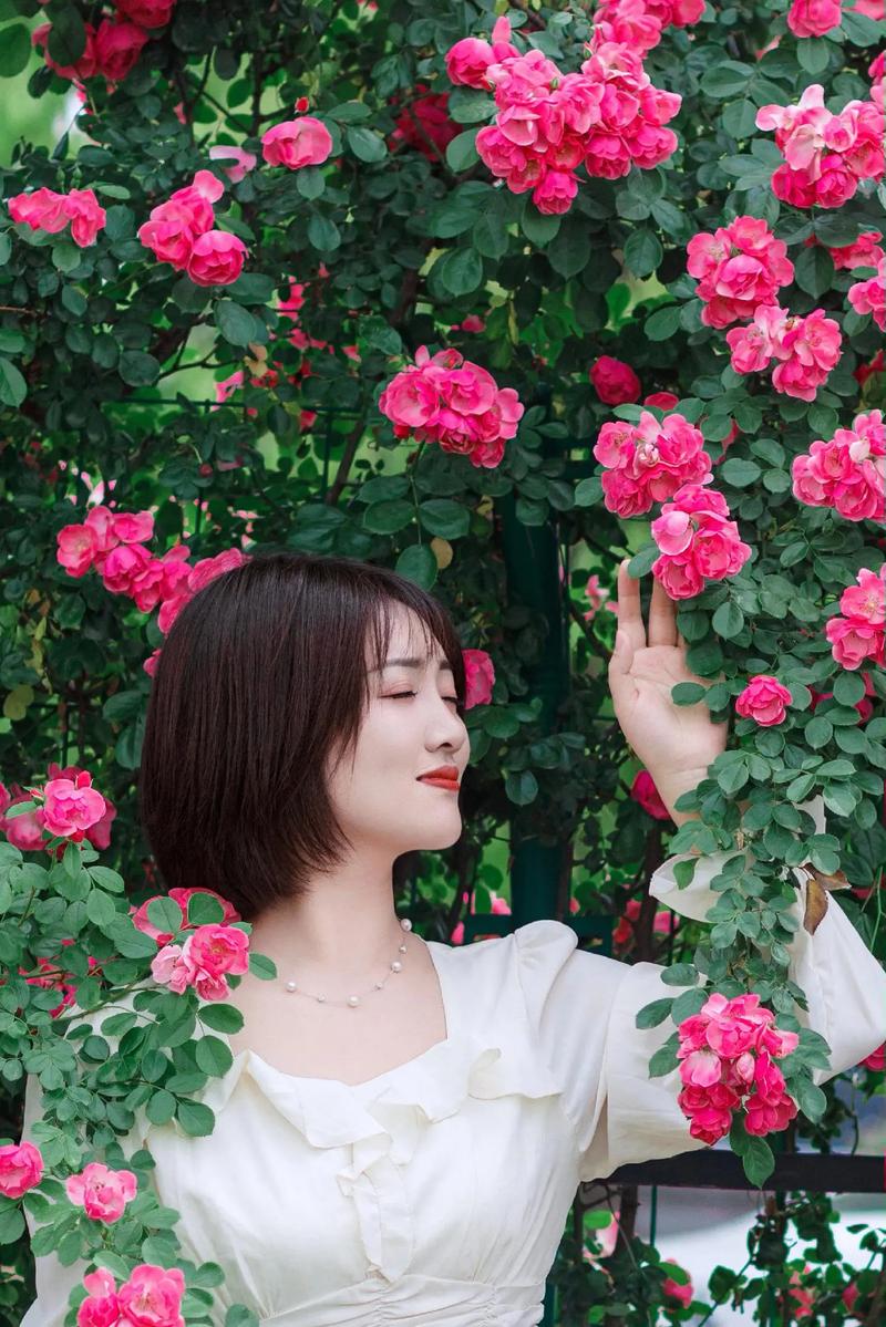 赏花季掀起“约拍热”