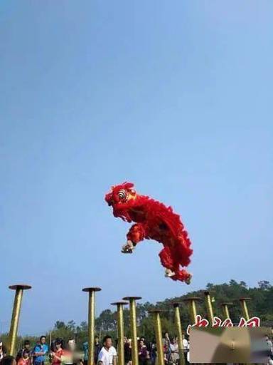(新春见闻)广西千年狮舞“闹”新春 将赴东盟交流