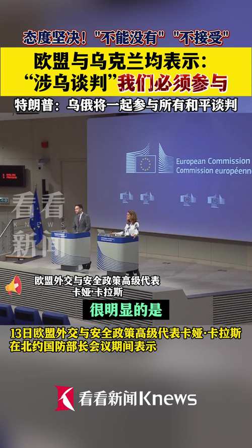荷兰专家:乌克兰加入欧盟并非一蹴而就