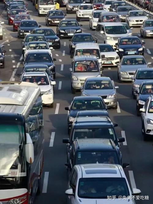 过年开车回家高速堵不堵?交通运输部研判报告来了